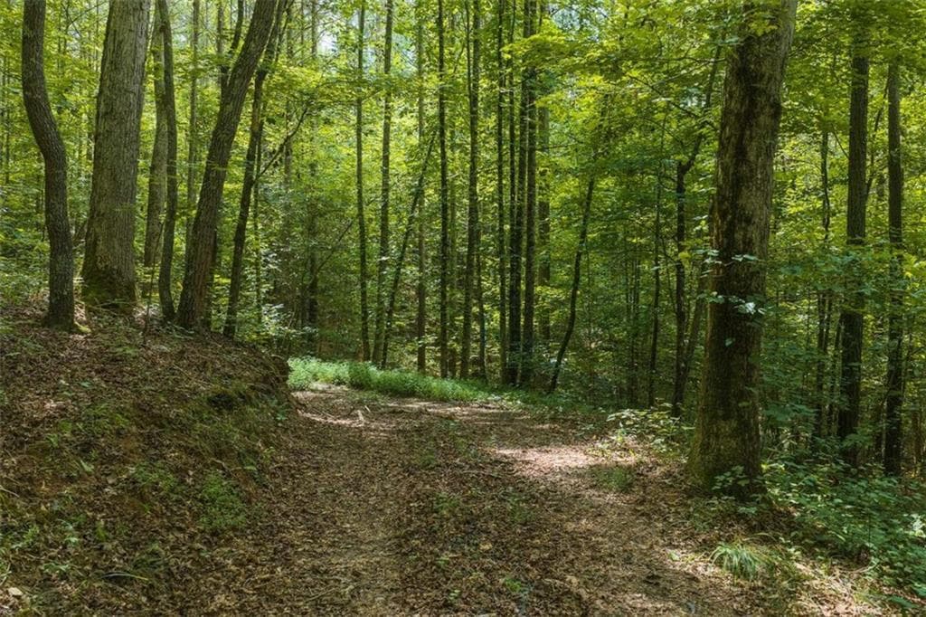unimproved land for sale at 300 Sumac Lane, Ellijay, GA 30540