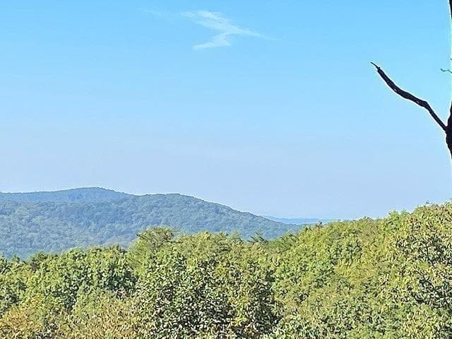 unimproved land for sale at 0 Piney Spur Road, Ellijay, GA 30536