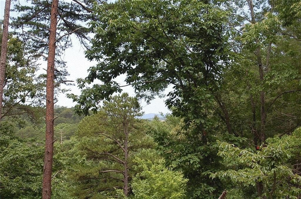 single family residence for sale at 384 Back Pine Way, Ellijay, GA 30540