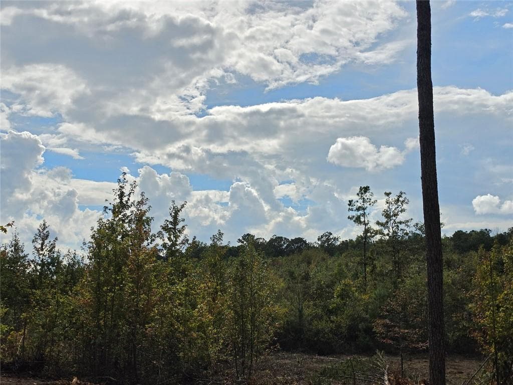 unimproved land for sale at 0 Tract 8 Victory Road, Franklin, GA 30217