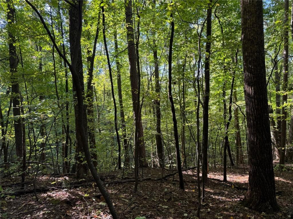 single family residence for sale at 0 Mountain View Court Way, Ellijay, GA 30536