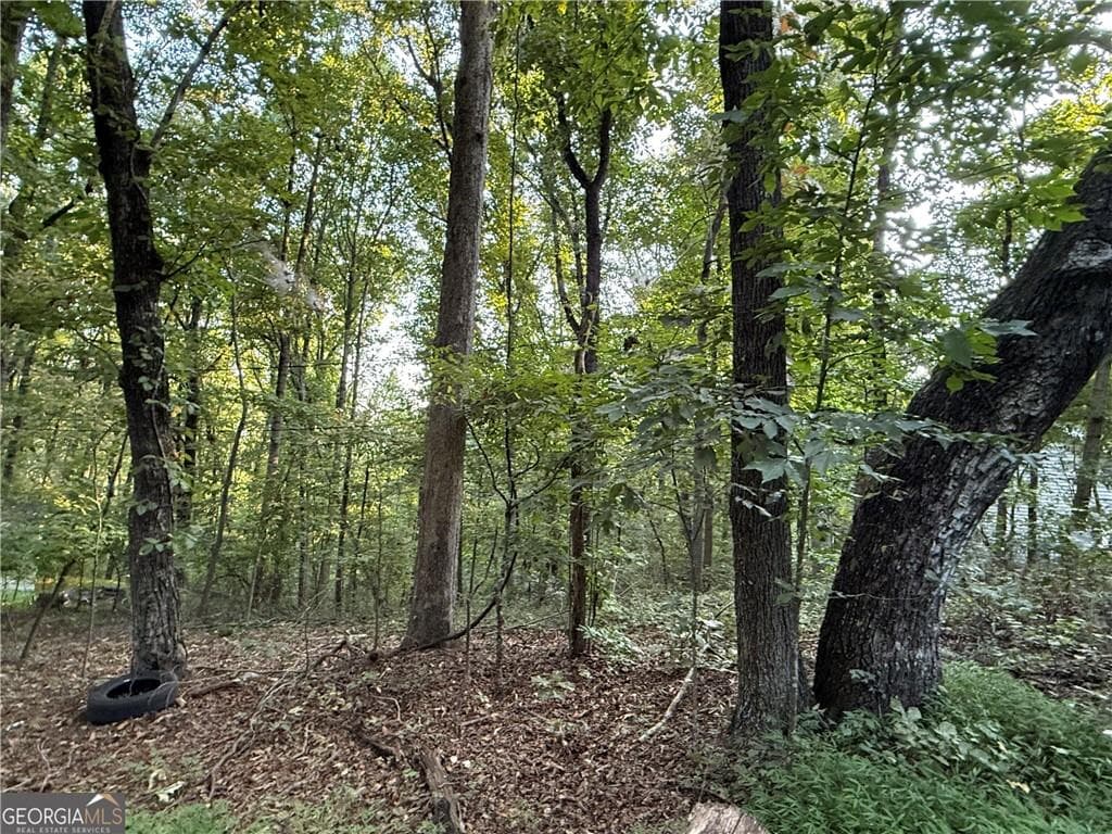 other for sale at 2726 Vaughandale Circle, Gainesville, GA 30506