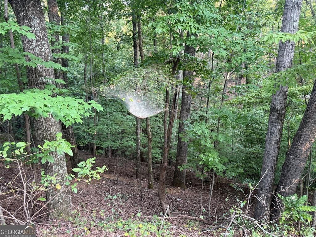 other for sale at 2329 Ford White Road, Gainesville, GA 30506