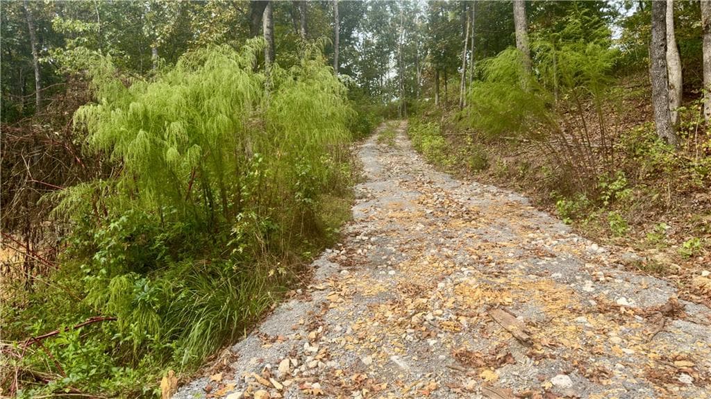 single family residence for sale at 283 Moores Ferry Road, Plainville, GA 30733