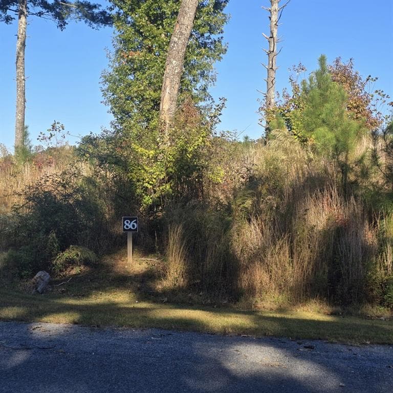 single family residence for sale at Lot 86 River Overlook Lane, Ellijay, GA 30540