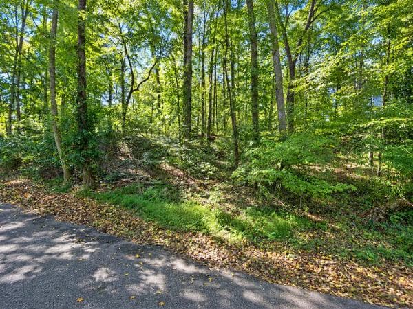 other for sale at 3965 Oak Harbour Drive, Gainesville, GA 30506