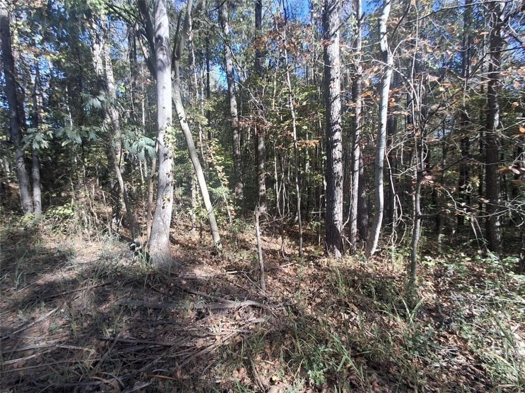 single family residence for sale at 0 Old Hamilton Mills Road, Bremen, GA 30110