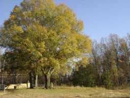 single family residence sold at 595 Bienville Court, Alpharetta, GA 30004