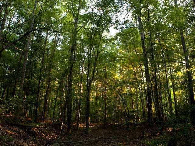 single family residence sold at 585 Tabb Way, Chattahoochee Hills, GA 30268