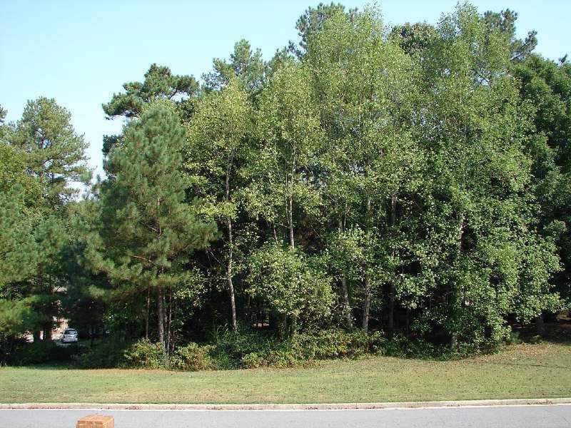 10580 Stonefield Landing, Johns Creek, GA 30097 — most recent listing photo