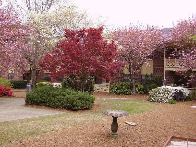 475 Mount Vernon Highway C225, Sandy Springs, GA 30328 — most recent listing photo