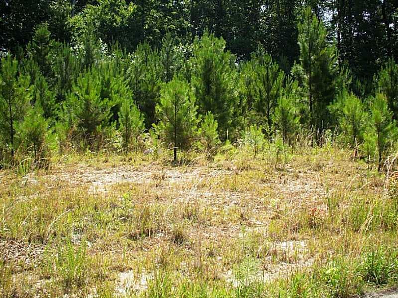 single family residence sold at 218 Jefferson Avenue, Canton, GA 30114