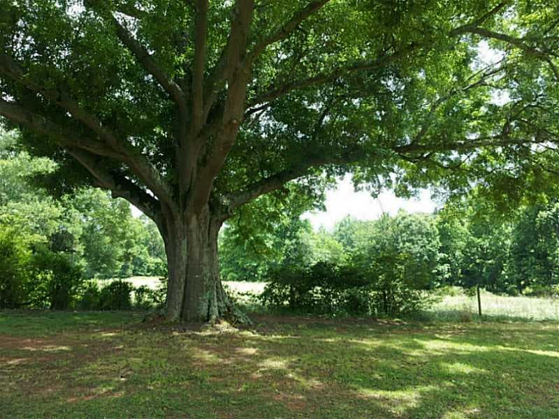 other sold at 0 Dunahoo Road, Winder, GA 30680