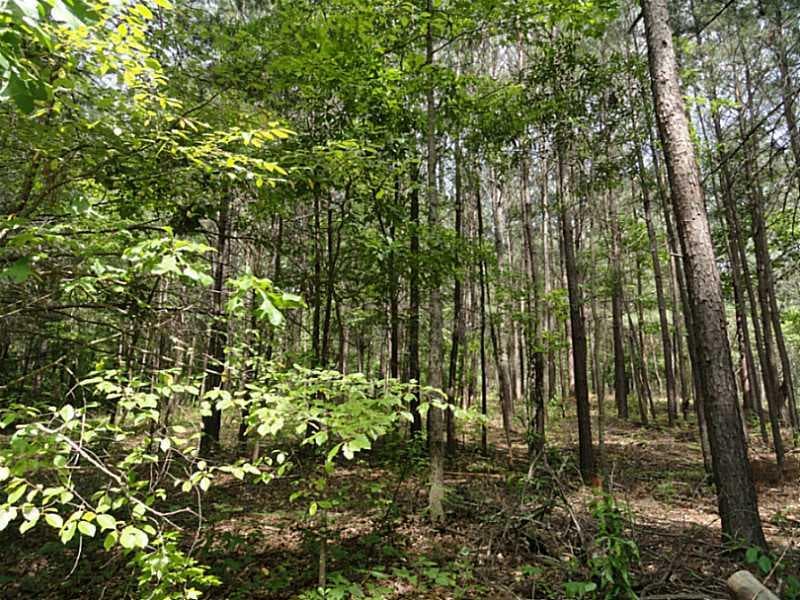 other sold at 0 McIntyre Way, Cumming, GA 30040