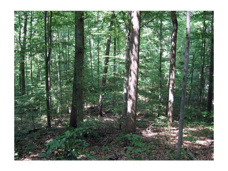 other sold at 0 Clifton Drive, Dawsonville, GA 30534