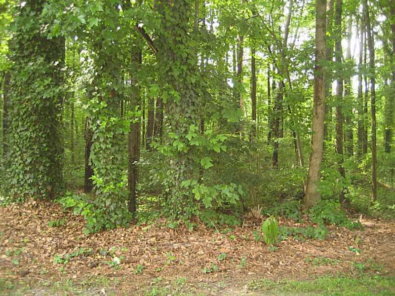 2068 Eastwood Drive, Snellville, GA 30078 — most recent listing photo