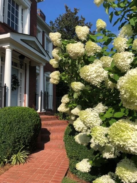 5 bedroom, 5 bathroom, 5,291 sq ft single family residence sold at 869 Haven Oaks Court, Atlanta, GA 30342