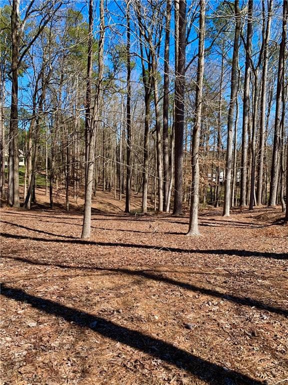 single family residence sold at 710 Hammock Lane, Milton, GA 30004