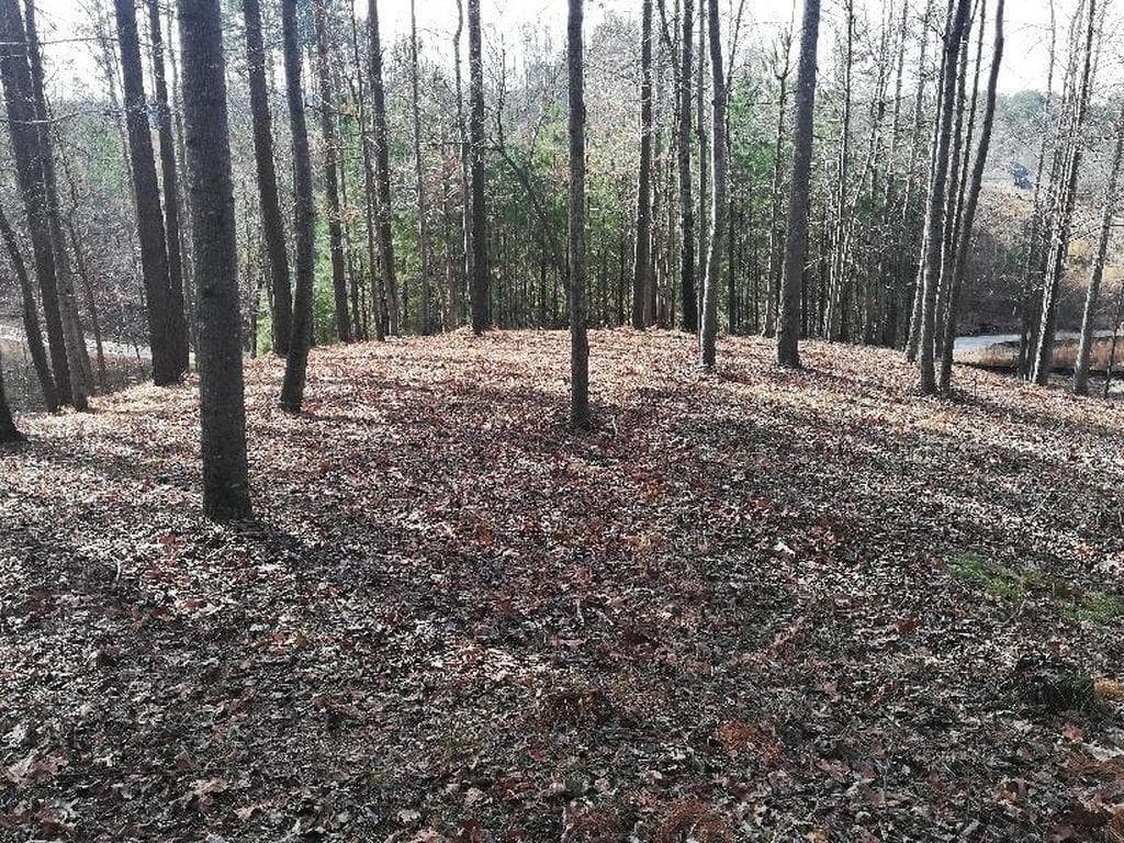 single family residence sold at 613 Walker Court, Canton, GA 30115