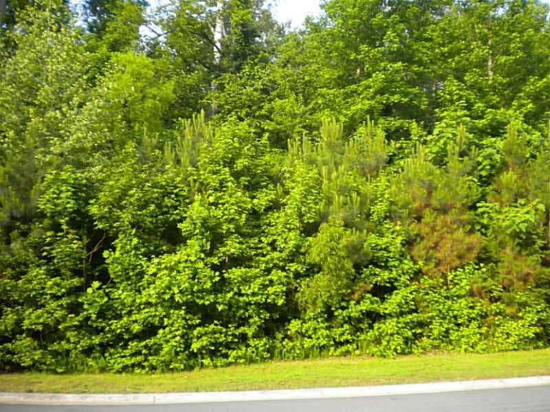 single family residence sold at 0 Camden Cove Drive, Cumming, GA 30040