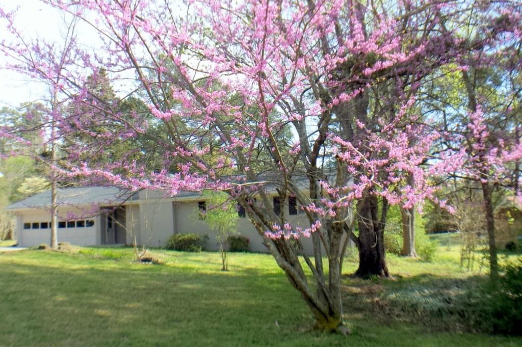 2572 Pamela Drive, Snellville, GA 30078 — most recent listing photo