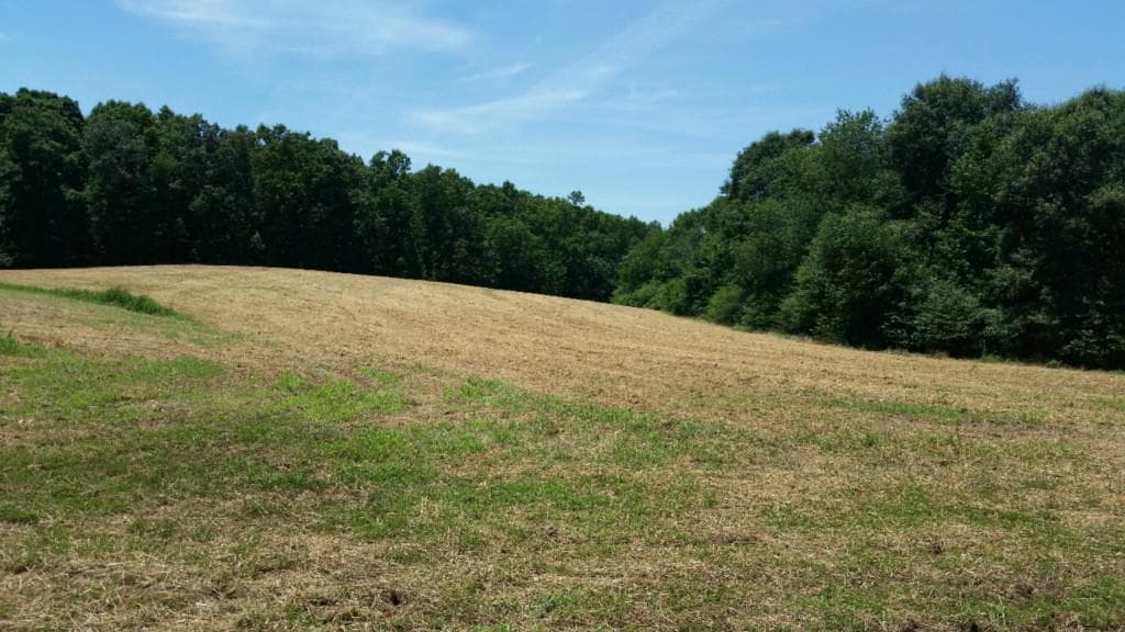 other sold at 0000 Pulliam/Maxwell Mill Road, Dewy Rose, GA 30634