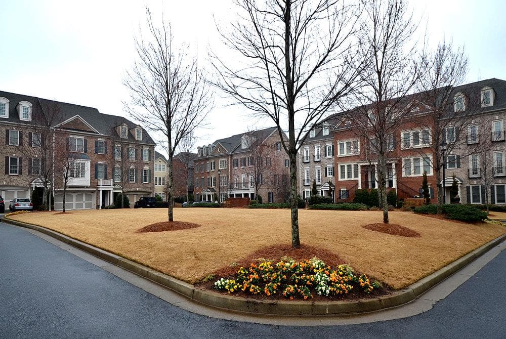 11203 Calypso Drive, Alpharetta, GA 30009 — most recent listing photo