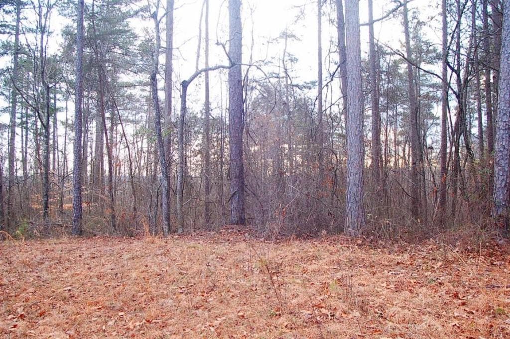 single family residence sold at 0 Ridgewood Drive, Pendergrass, GA 30567