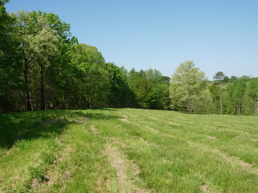 other sold at 0 Casey Road, Lavonia, GA 30553