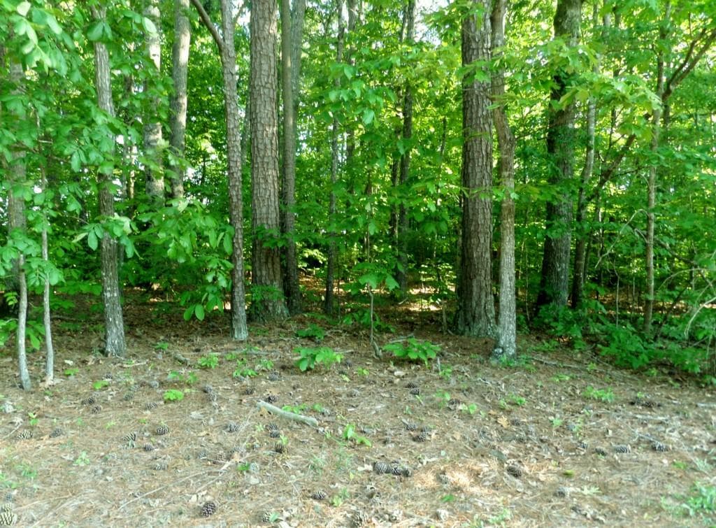 single family residence sold at 191 Brookwood Drive, Canton, GA 30114