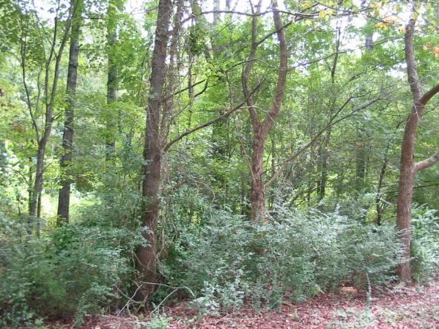 other sold at 0 Rudy York Road, Cartersville, GA 30121