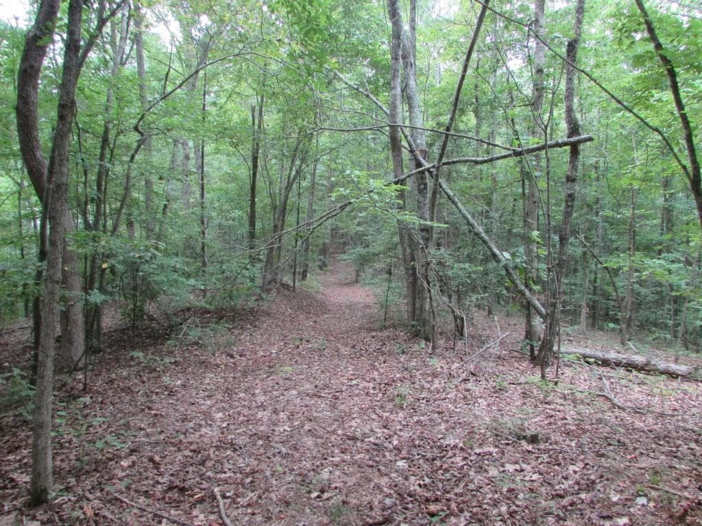 single family residence sold at 1079 Damascus Road, Ranger, GA 30734