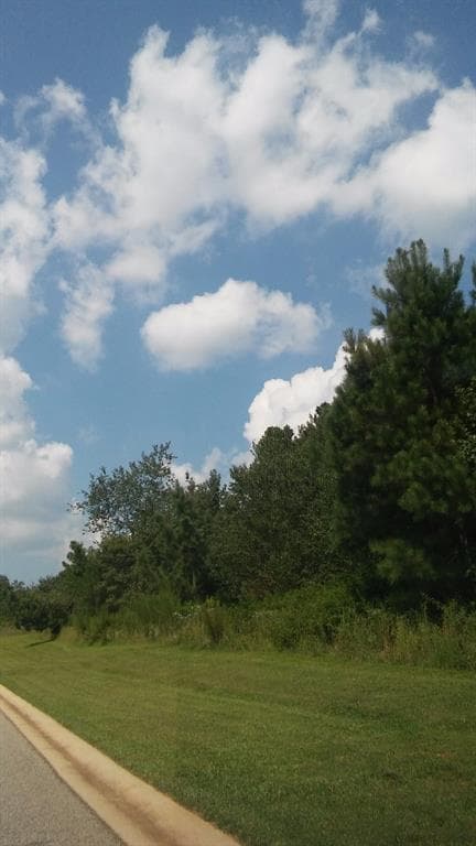 6716 Little Whistle Way, Clermont, GA 30527 — most recent listing photo