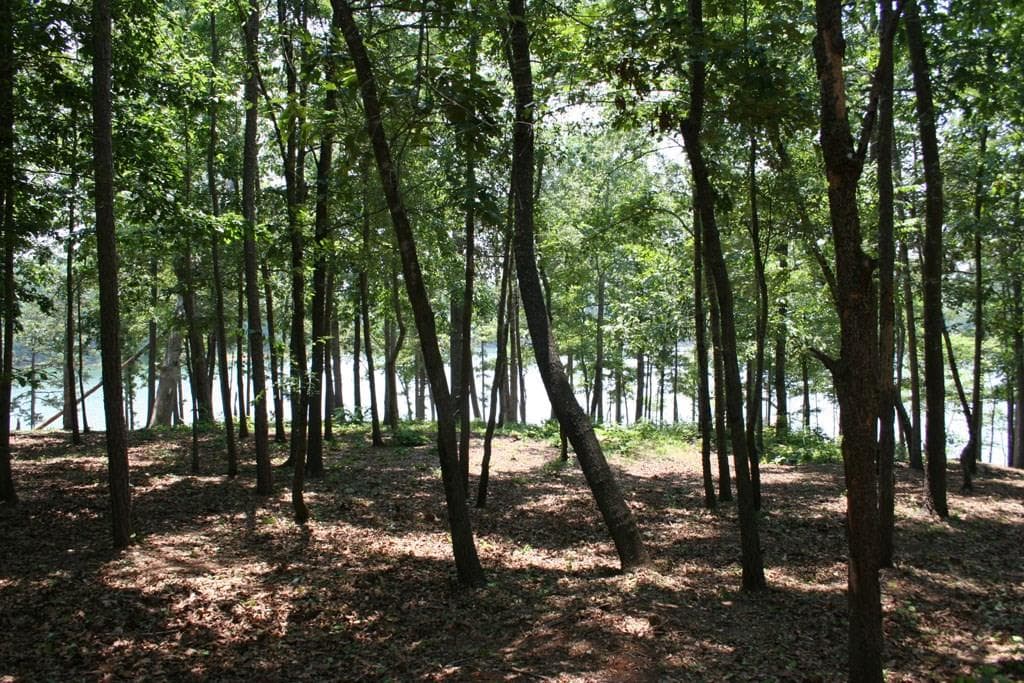 single family residence sold at Lot 21 Wyndward Pointe Drive, Hartwell, GA 30643