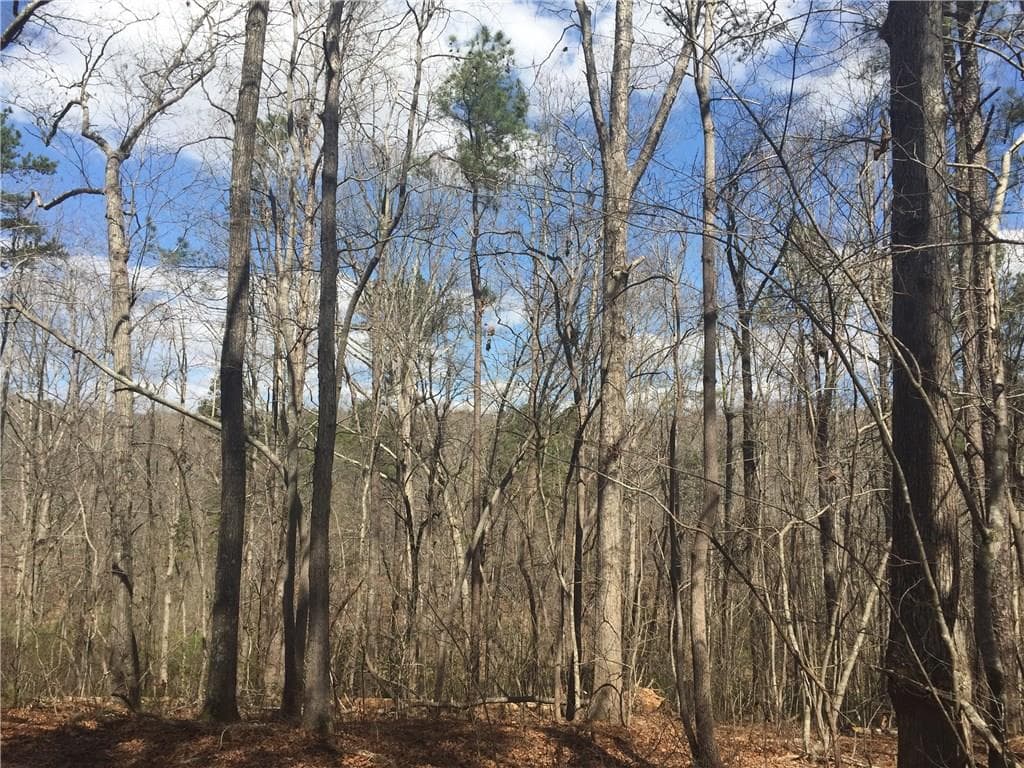 other sold at 4925 Odell Drive, Gainesville, GA 30504