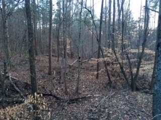 other sold at 3020 Thompson Mill Road, Buford, GA 30519