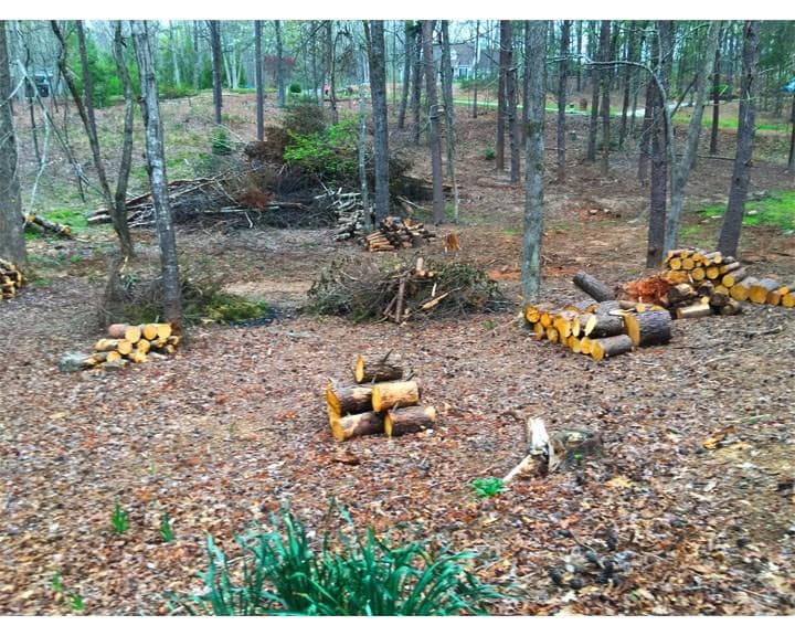 105 Rosewood Lane, Cumming, GA 30040 — most recent listing photo
