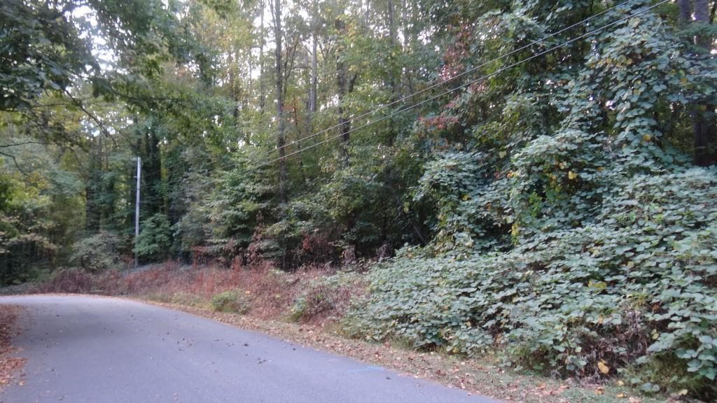 single family residence sold at 54, 66 Sharon Circle, Cumming, GA 30041