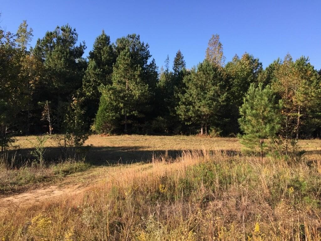 other sold at Lot 1 Watering Hole Pass, Williamson, GA 30292