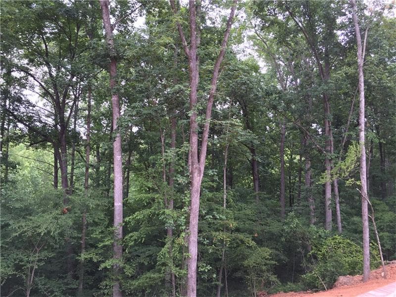 other sold at 0 Woodmont Court, Canton, GA 30115