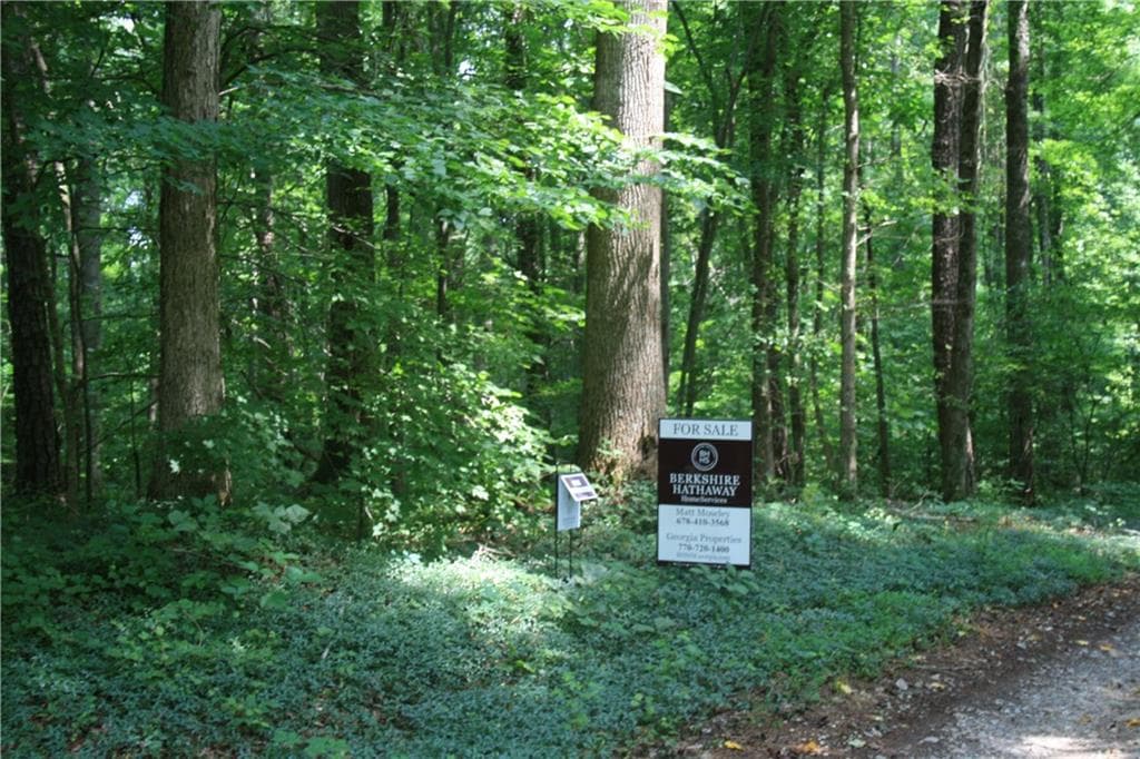 other sold at Lot 95 Iron Mountain Road, Canton, GA 30115