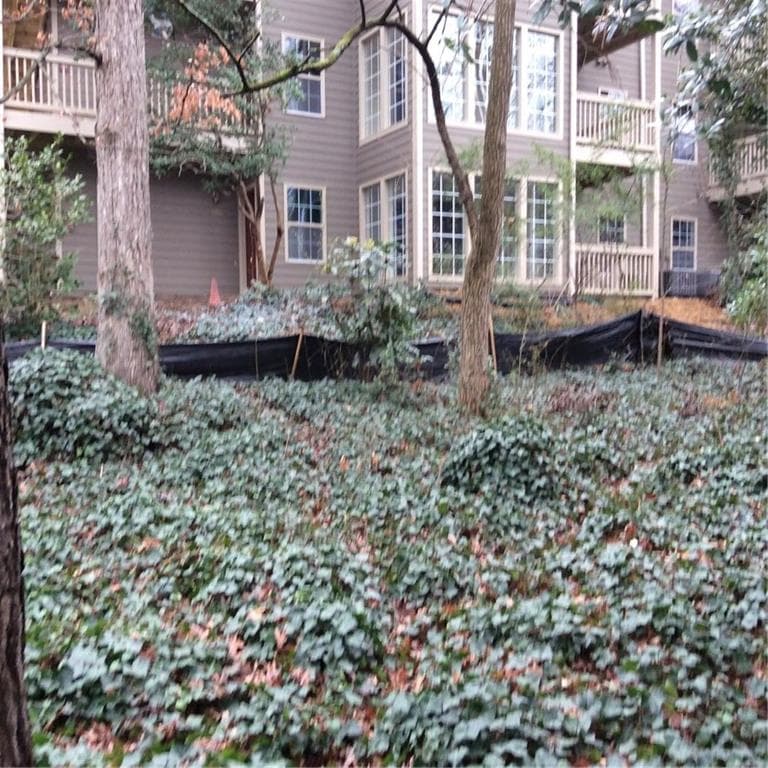 806 Country Park Drive, Smyrna, GA 30080 — most recent listing photo