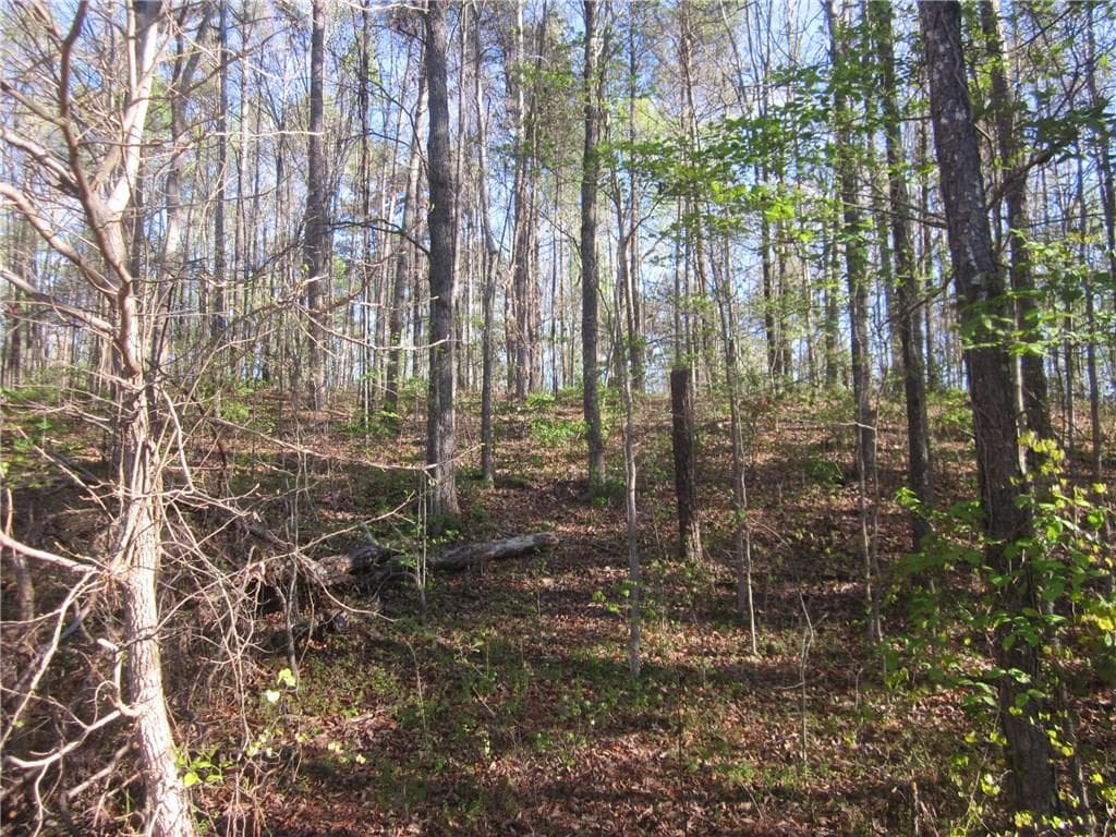 other sold at 000 Billings Farm Lane, Canton, GA 30115