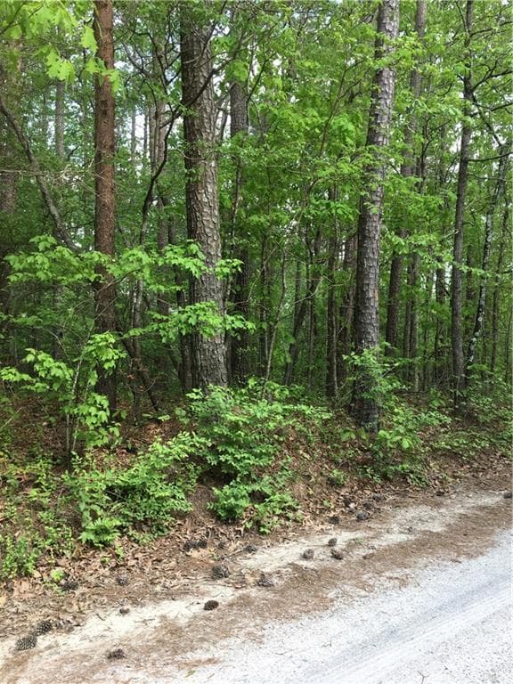 other sold at 0 Bethesda Trail, Ball Ground, GA 30107