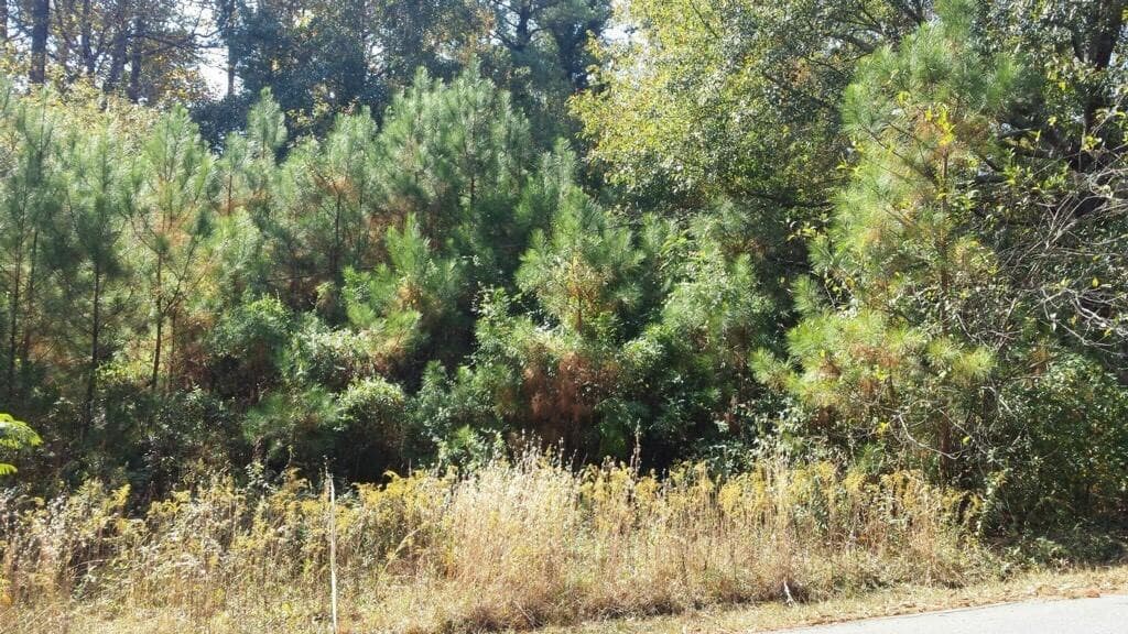 single family residence sold at 1002 Brackett Road, Marietta, GA 30066