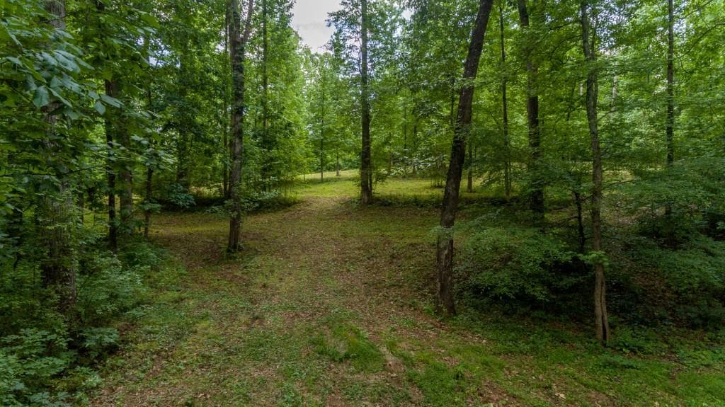 single family residence sold at 241 Bradshaw Lane, Canton, GA 30115