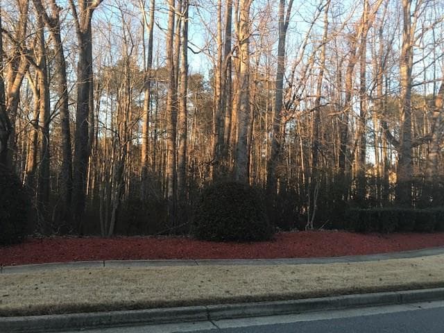 single family residence sold at 95 Morning Glen Drive, Suwanee, GA 30024