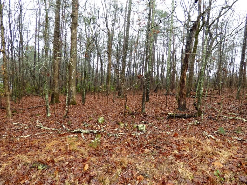 other sold at 0 Fairview Road, Ball Ground, GA 30107