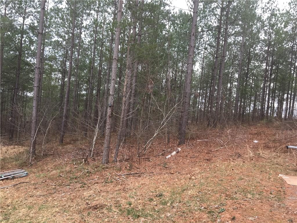 other sold at 4521 Fortner Road, Ball Ground, GA 30107