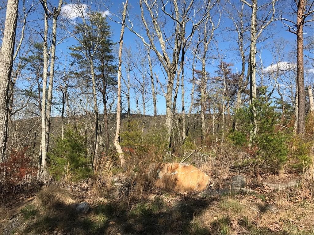 164 Salacoa Vista, Jasper, GA 30143 — most recent listing photo